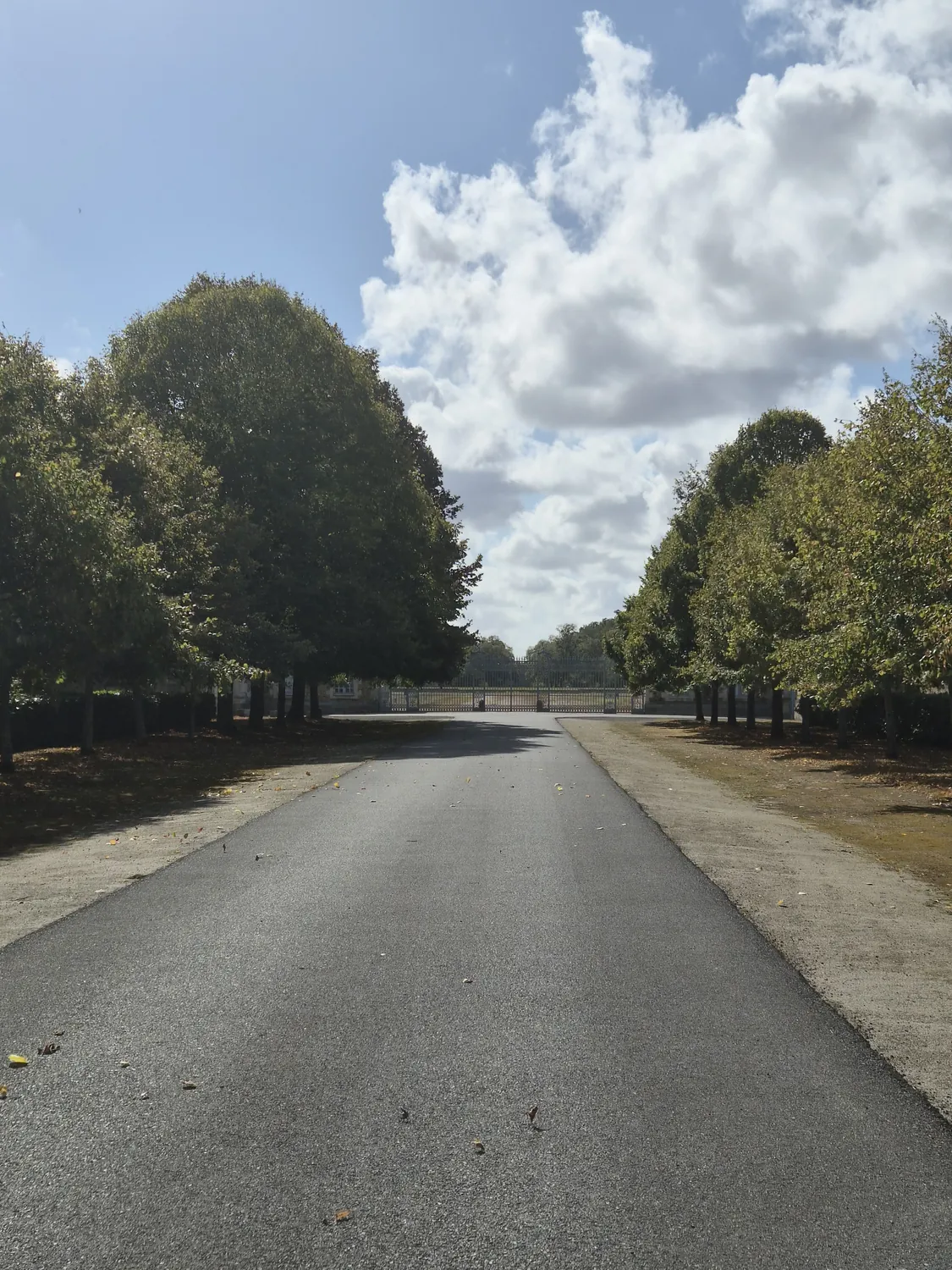 L'allée qui mène à l'ancien château de Saint-Mars-la-Jaille.