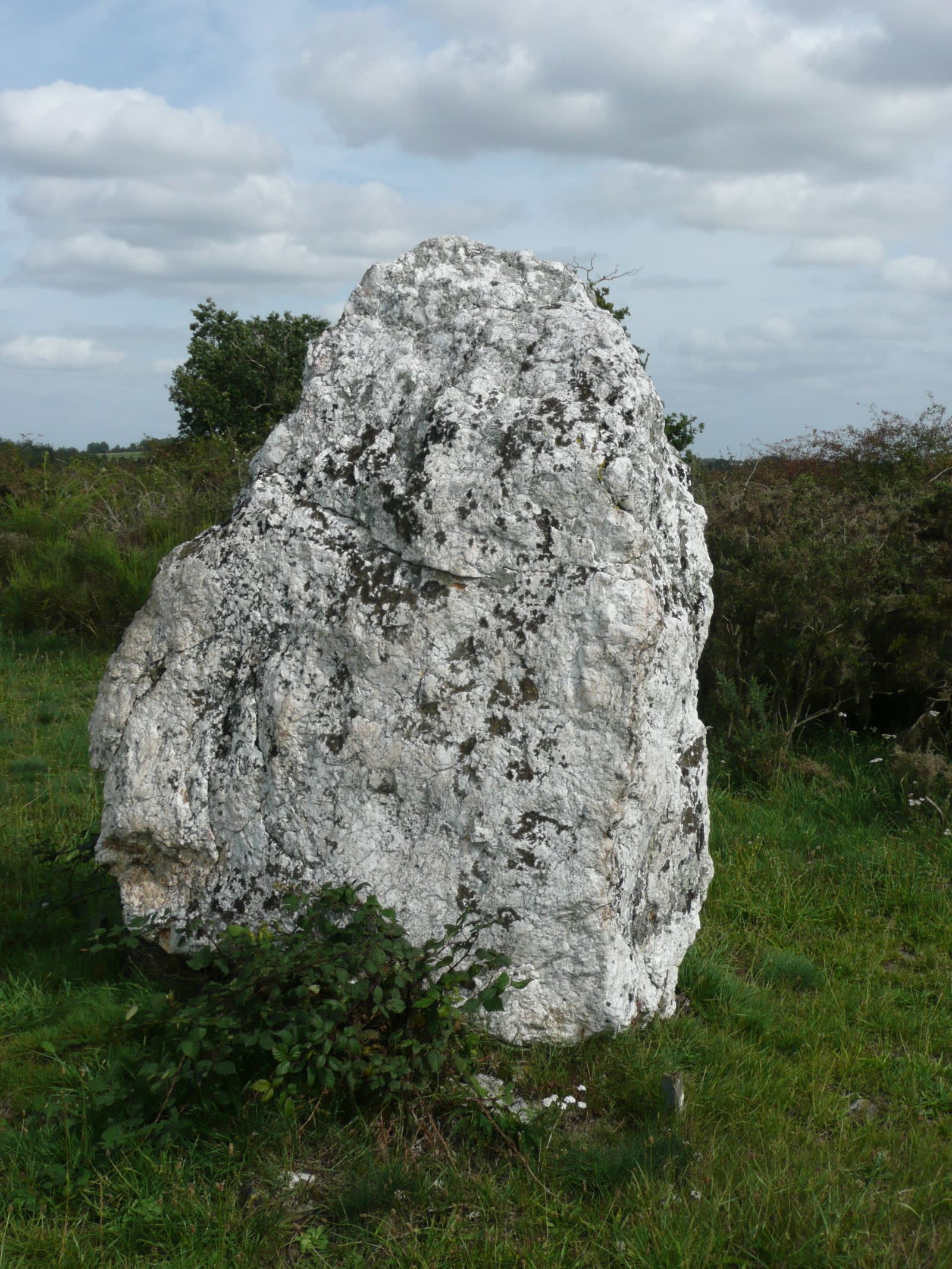 Le menhir E, le plus imposant des deux vestiges encore visibles (Wikimedia Commons, CC BY-SA).
