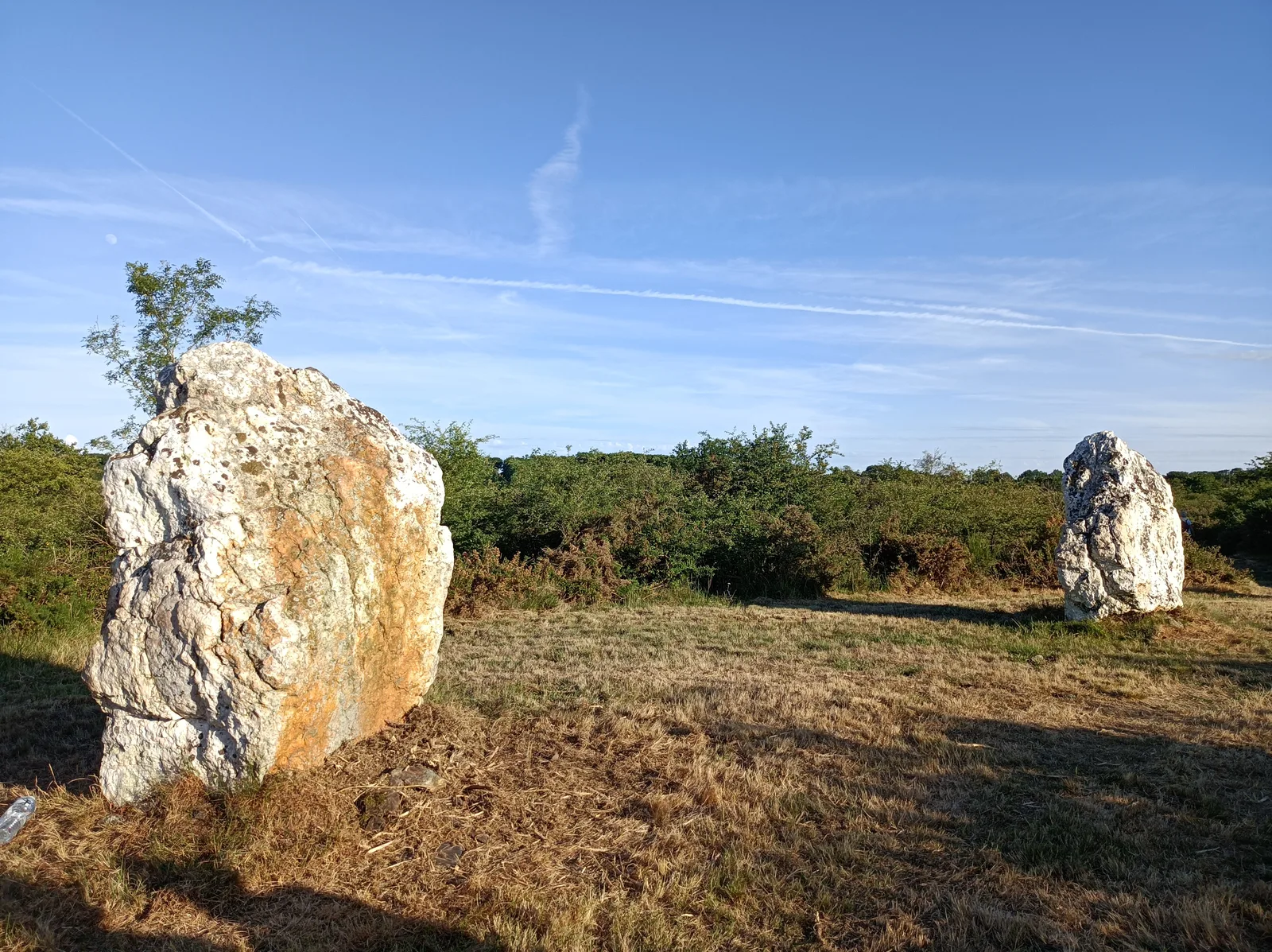 Les menhirs de Bennefraye, à Freigné : les derniers témoins d’un alignement mégalithique disparu.