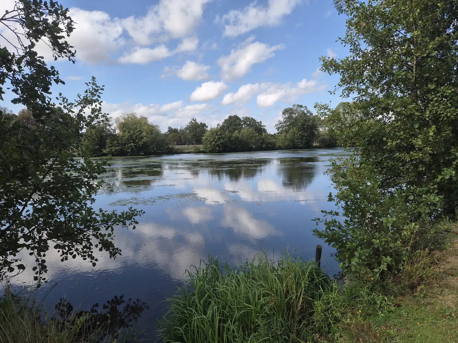 Le plan d'eau de Saint-Mars-la-Jaille, bordé d'arbres et aménagé en parc de promenade.